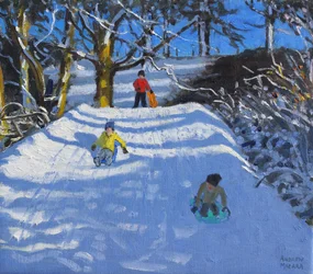 Diversión en la nieve, Wash Green, Derbyshire, 2014